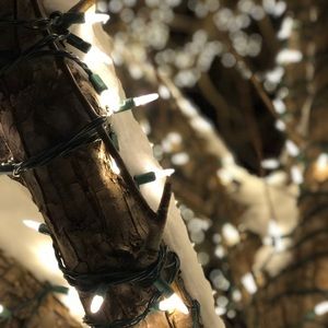 Meet your Posher, Stephany